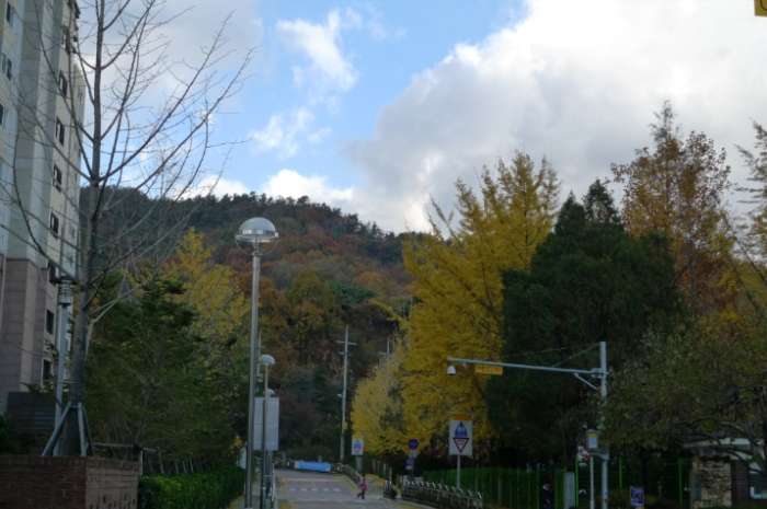 이미지를 클릭하시면 원본크기로 보실수 있습니다.