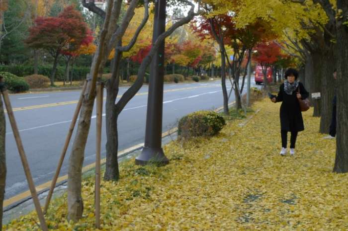 이미지를 클릭하시면 원본크기로 보실수 있습니다.
