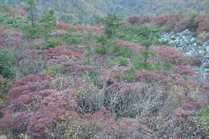 이미지를 클릭하시면 원본크기로 보실수 있습니다.