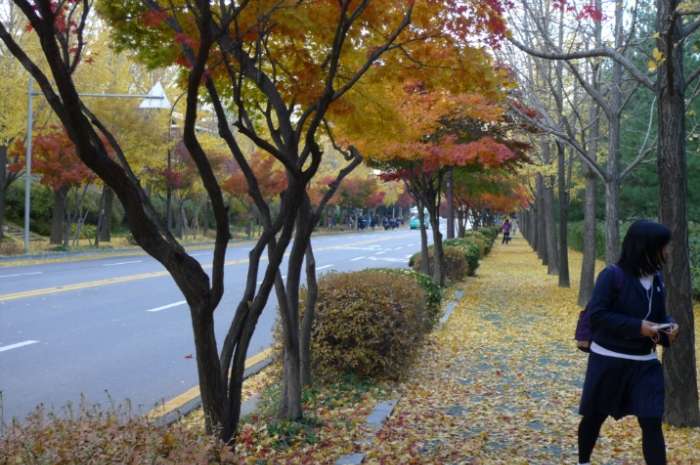이미지를 클릭하시면 원본크기로 보실수 있습니다.