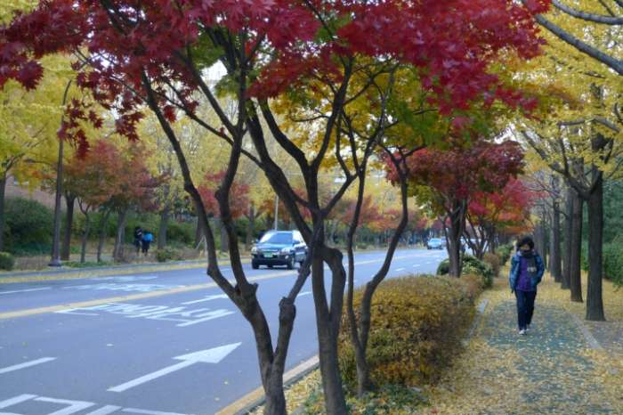 이미지를 클릭하시면 원본크기로 보실수 있습니다.