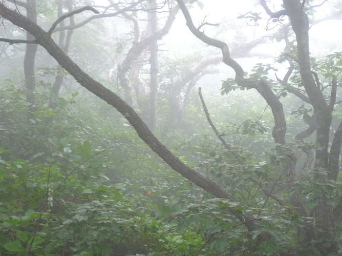 이미지를 클릭하시면 원본크기로 보실수 있습니다.