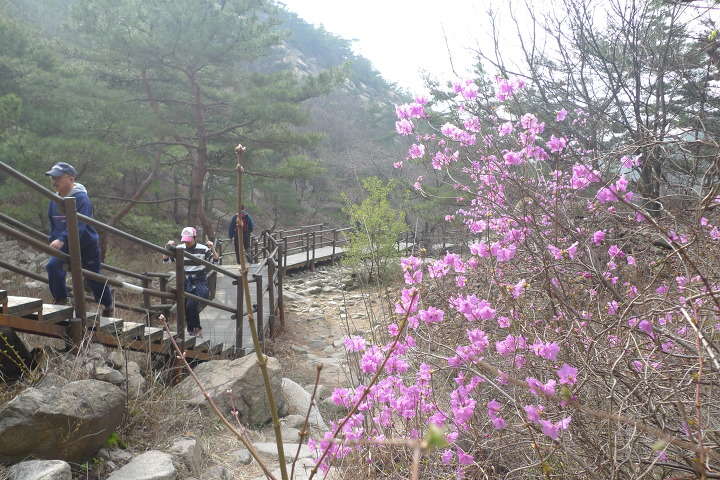 이미지를 클릭하시면 원본크기로 보실수 있습니다.