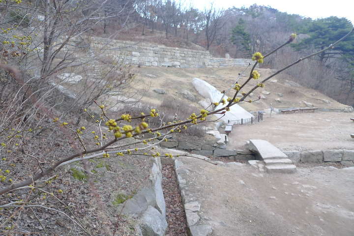 이미지를 클릭하시면 원본크기로 보실수 있습니다.