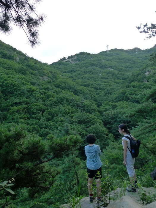 이미지를 클릭하시면 원본크기로 보실수 있습니다.