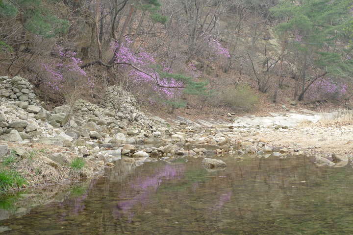 이미지를 클릭하시면 원본크기로 보실수 있습니다.