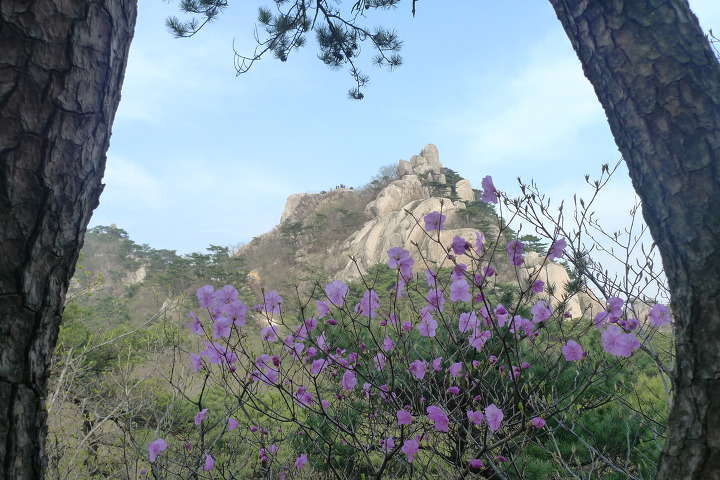 이미지를 클릭하시면 원본크기로 보실수 있습니다.