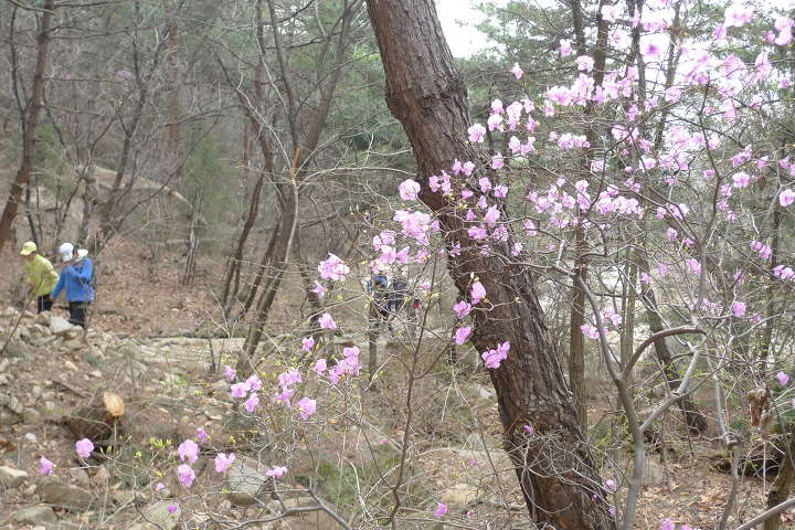 이미지를 클릭하시면 원본크기로 보실수 있습니다.