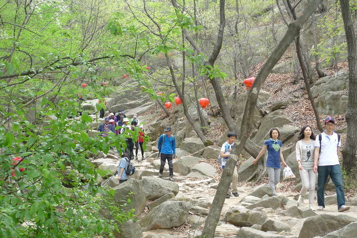 이미지를 클릭하시면 원본크기로 보실수 있습니다.