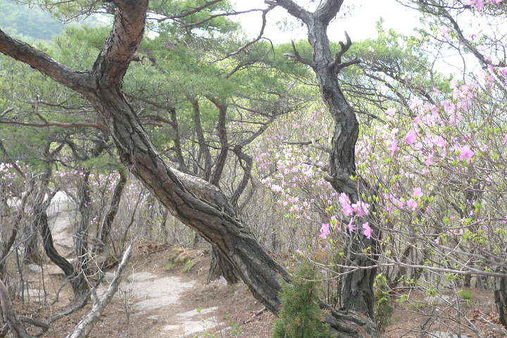 이미지를 클릭하시면 원본크기로 보실수 있습니다.