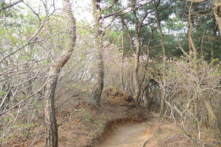 이미지를 클릭하시면 원본크기로 보실수 있습니다.