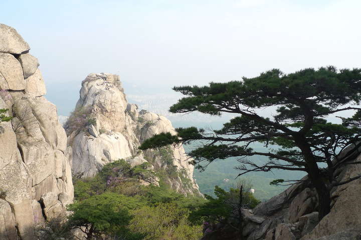 이미지를 클릭하시면 원본크기로 보실수 있습니다.