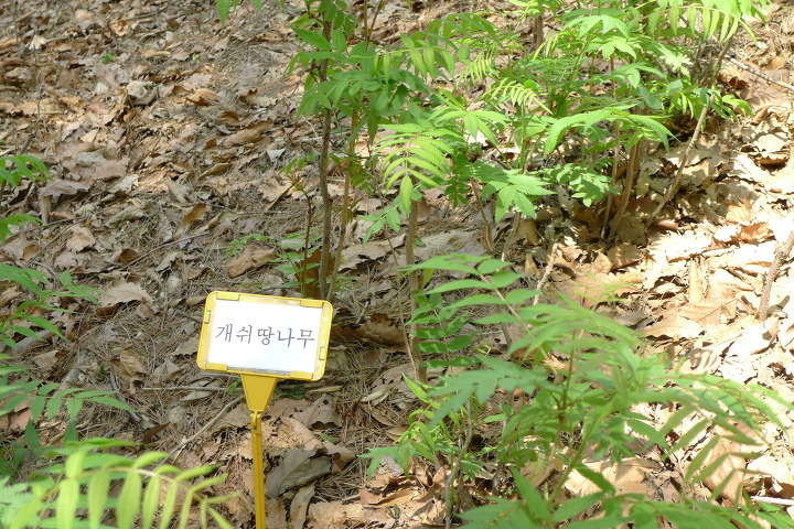 이미지를 클릭하시면 원본크기로 보실수 있습니다.
