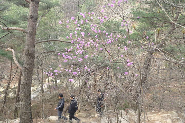 이미지를 클릭하시면 원본크기로 보실수 있습니다.