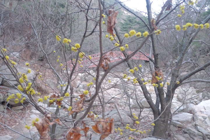 이미지를 클릭하시면 원본크기로 보실수 있습니다.