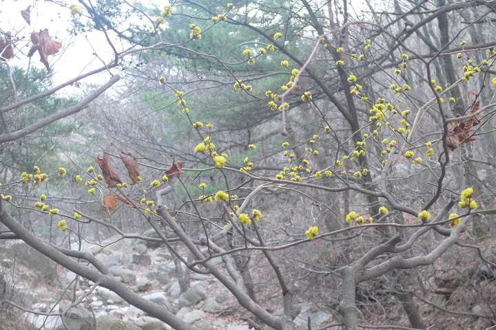 이미지를 클릭하시면 원본크기로 보실수 있습니다.