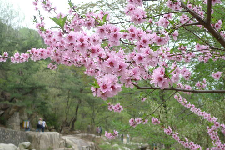 이미지를 클릭하시면 원본크기로 보실수 있습니다.
