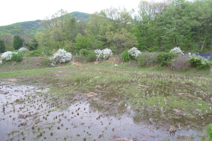 이미지를 클릭하시면 원본크기로 보실수 있습니다.