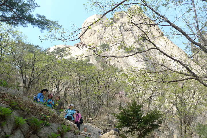 이미지를 클릭하시면 원본크기로 보실수 있습니다.
