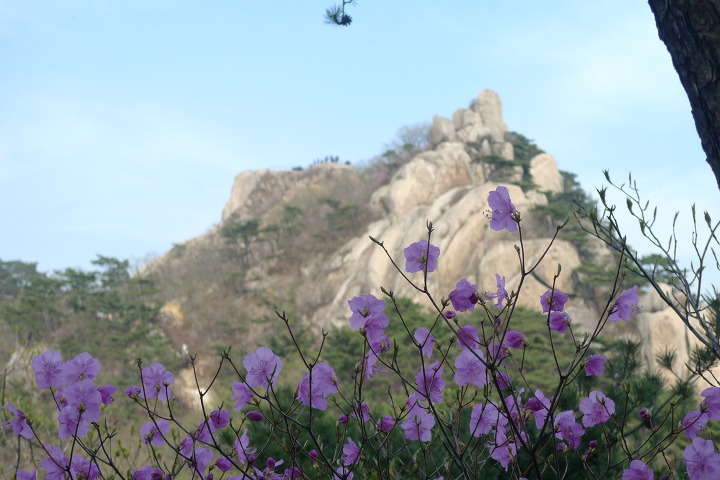 이미지를 클릭하시면 원본크기로 보실수 있습니다.