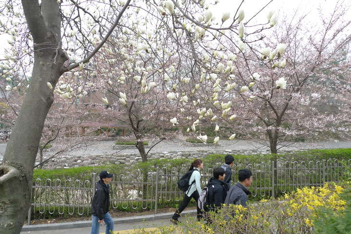 이미지를 클릭하시면 원본크기로 보실수 있습니다.