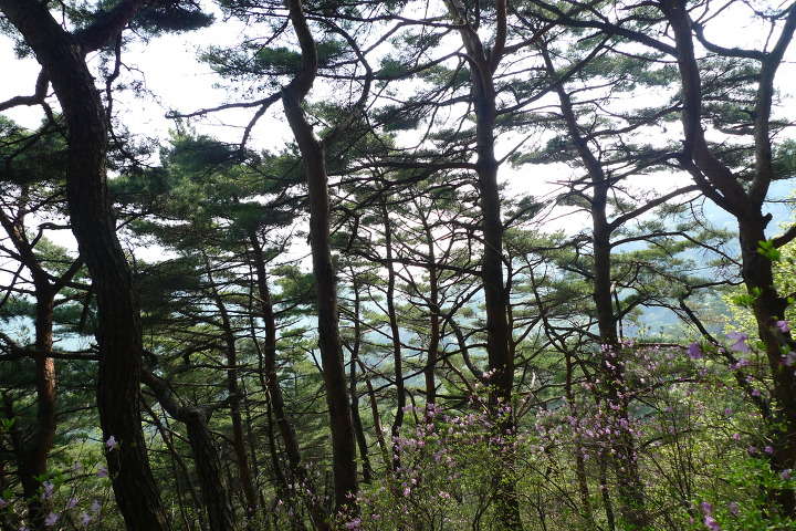이미지를 클릭하시면 원본크기로 보실수 있습니다.