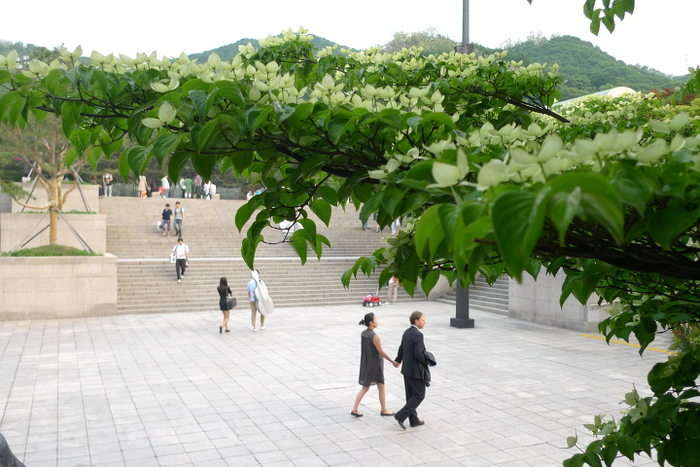 이미지를 클릭하시면 원본크기로 보실수 있습니다.
