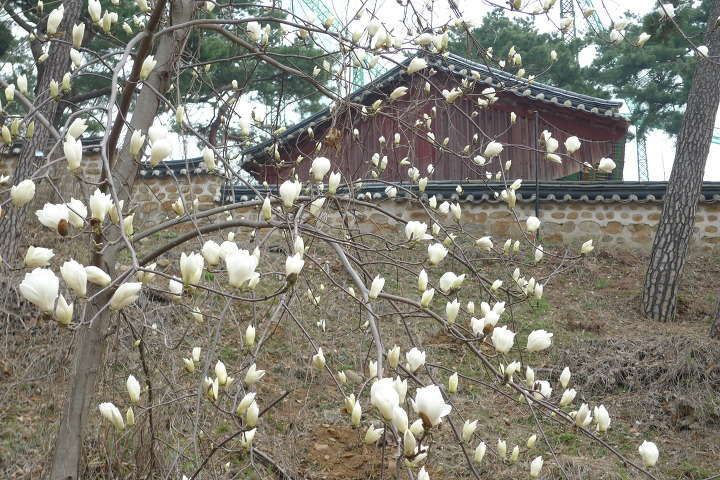 이미지를 클릭하시면 원본크기로 보실수 있습니다.