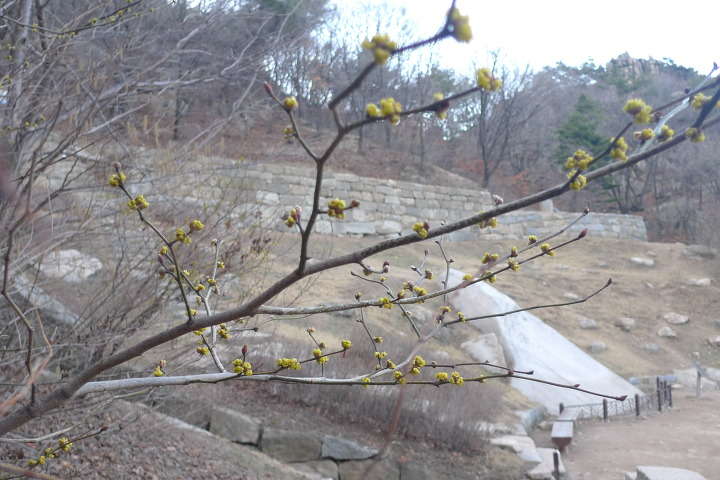 이미지를 클릭하시면 원본크기로 보실수 있습니다.