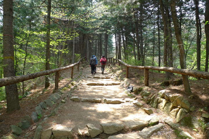 이미지를 클릭하시면 원본크기로 보실수 있습니다.