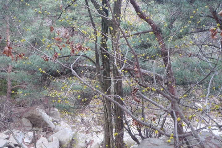 이미지를 클릭하시면 원본크기로 보실수 있습니다.