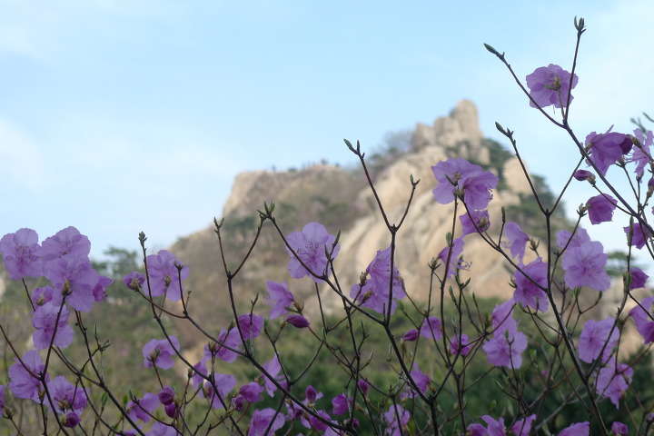 이미지를 클릭하시면 원본크기로 보실수 있습니다.