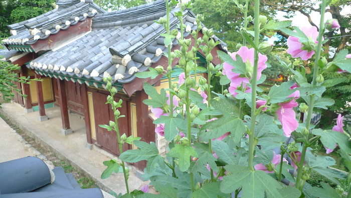 이미지를 클릭하시면 원본크기로 보실수 있습니다.