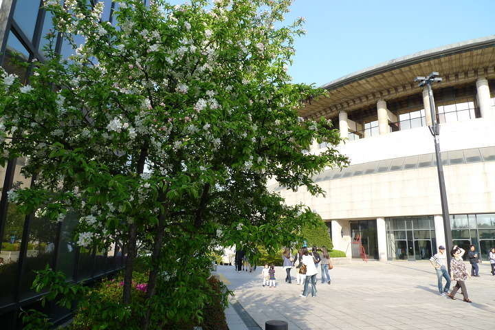 이미지를 클릭하시면 원본크기로 보실수 있습니다.