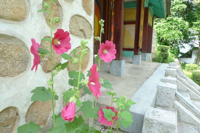 이미지를 클릭하시면 원본크기로 보실수 있습니다.