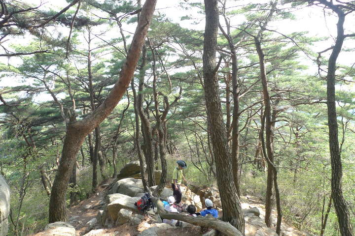 이미지를 클릭하시면 원본크기로 보실수 있습니다.