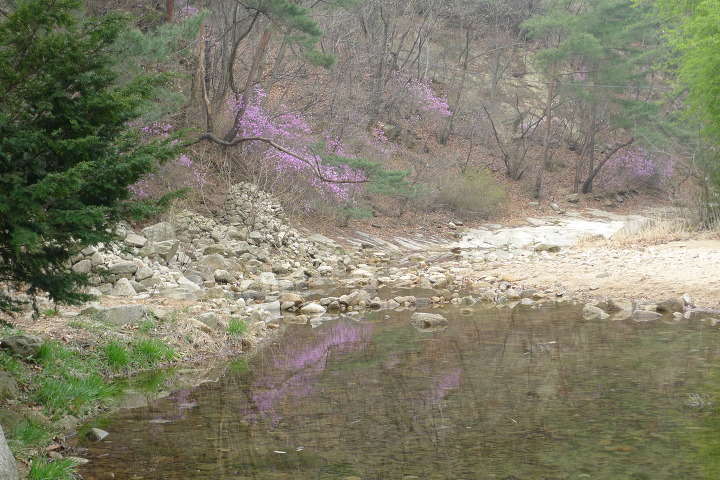 이미지를 클릭하시면 원본크기로 보실수 있습니다.