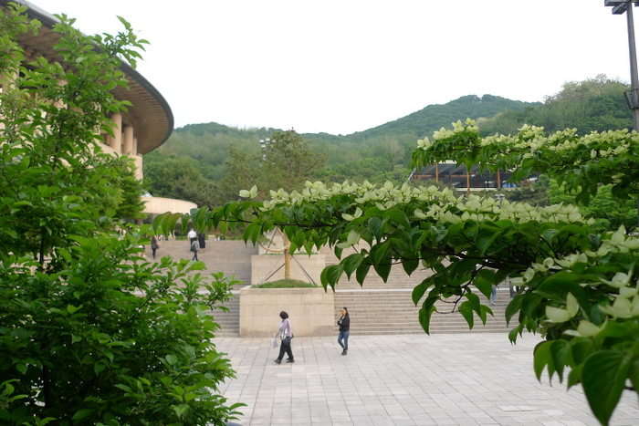 이미지를 클릭하시면 원본크기로 보실수 있습니다.