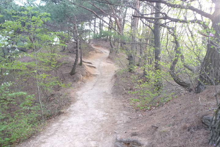 이미지를 클릭하시면 원본크기로 보실수 있습니다.