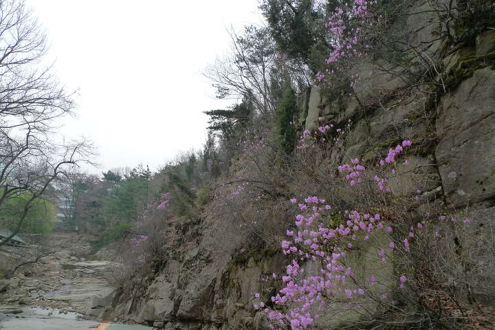 이미지를 클릭하시면 원본크기로 보실수 있습니다.