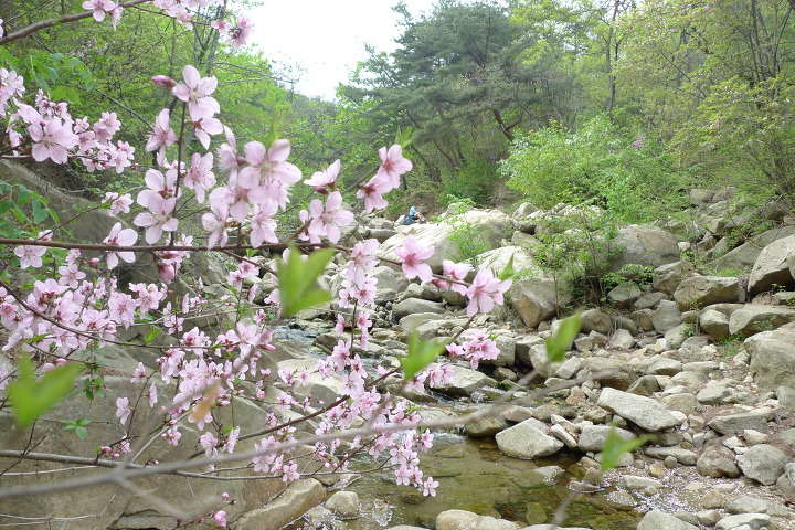 이미지를 클릭하시면 원본크기로 보실수 있습니다.