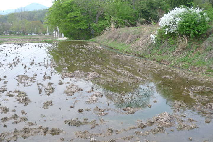 이미지를 클릭하시면 원본크기로 보실수 있습니다.