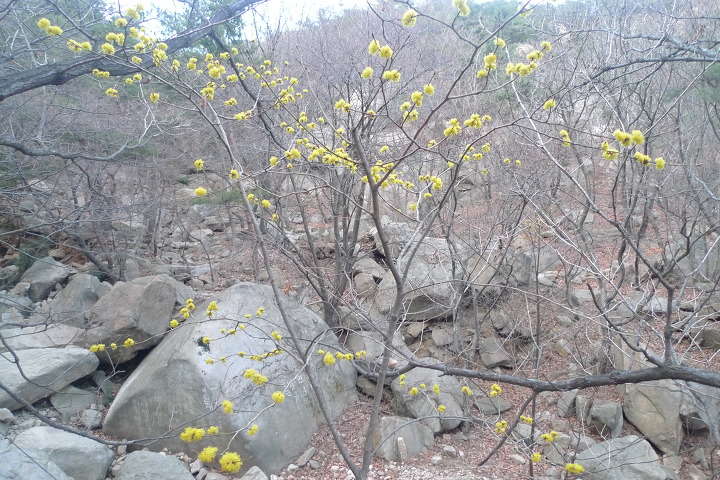 이미지를 클릭하시면 원본크기로 보실수 있습니다.