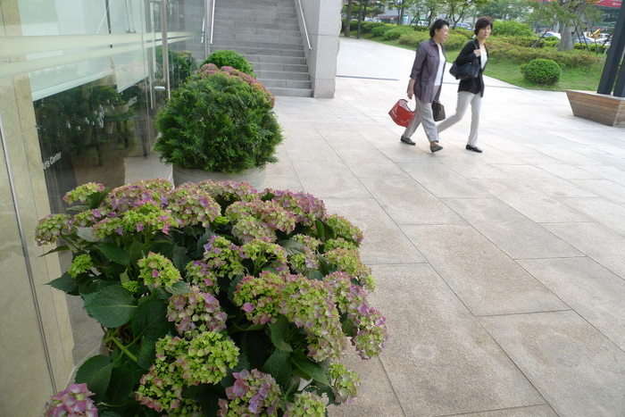 이미지를 클릭하시면 원본크기로 보실수 있습니다.