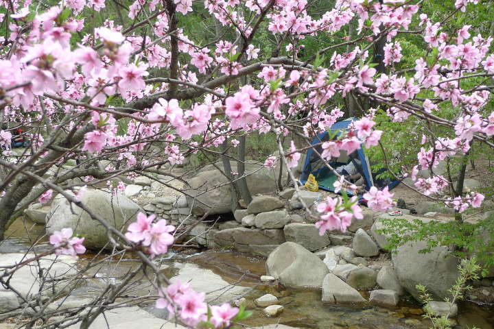 이미지를 클릭하시면 원본크기로 보실수 있습니다.