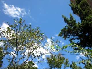 더블클릭을 하시면 이미지를 수정할 수 있습니다