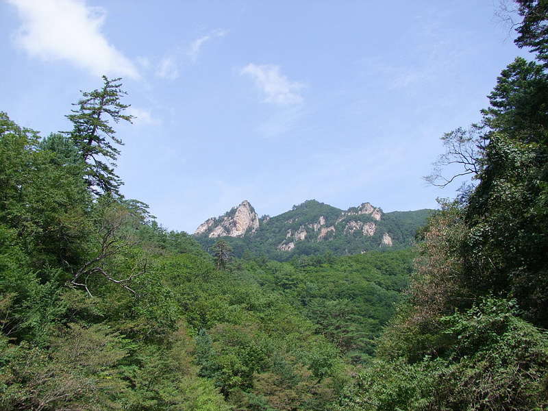 봉황이 날아든 설악산 봉정암산행 2011-9-13 ::: 82cook.com