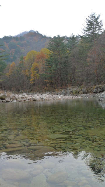 이미지를 클릭하시면 원본크기로 보실수 있습니다.