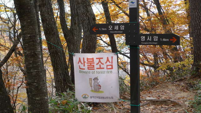 이미지를 클릭하시면 원본크기로 보실수 있습니다.