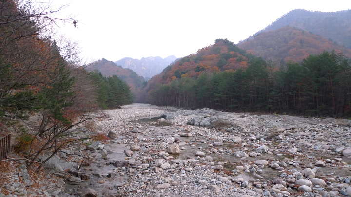 이미지를 클릭하시면 원본크기로 보실수 있습니다.